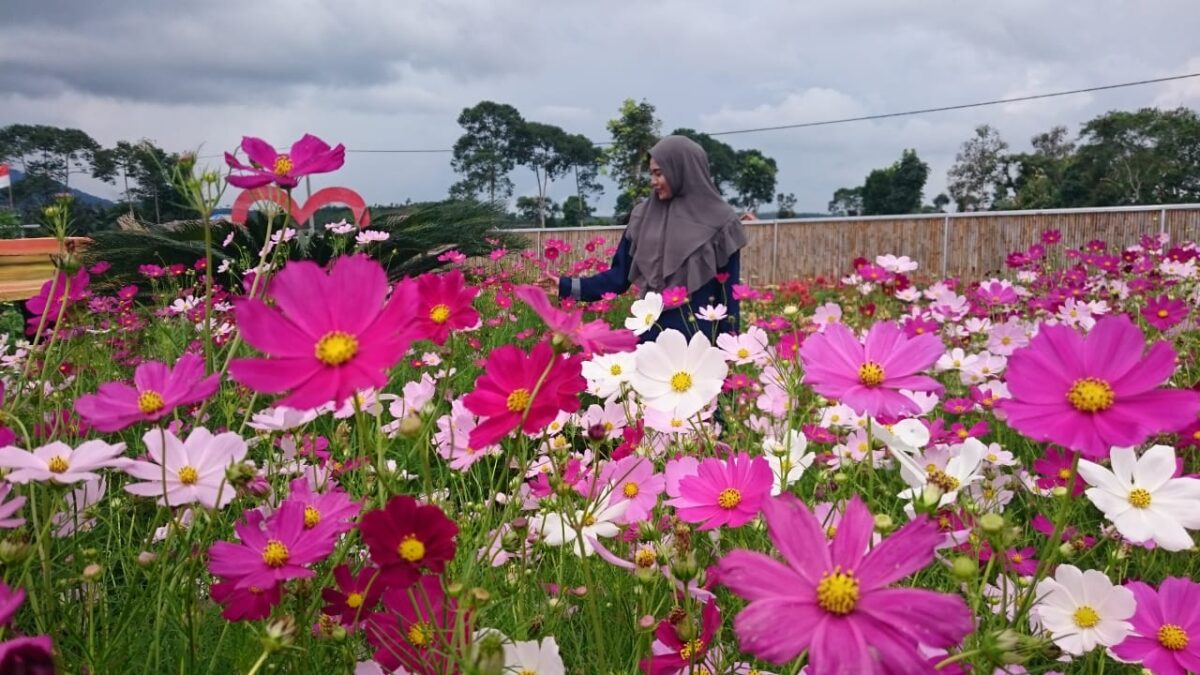 Gambar
