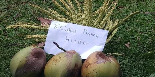 Gambar