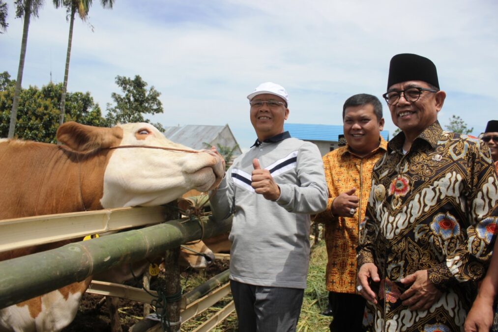 Gambar