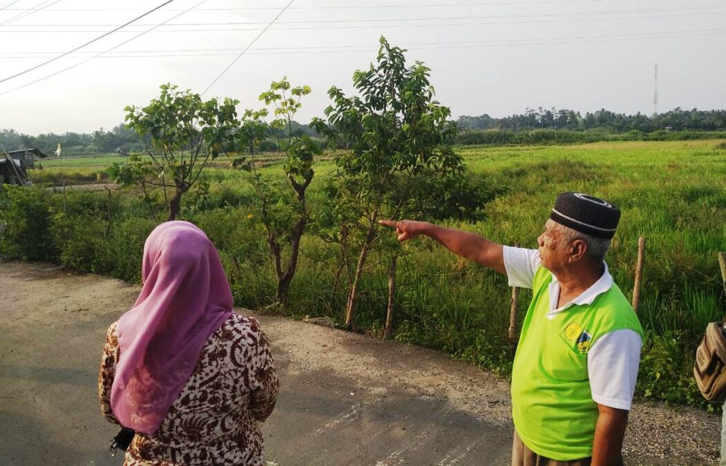 Gambar