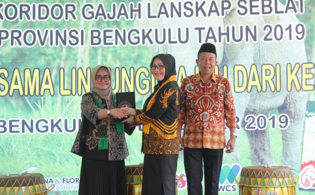 Gambar