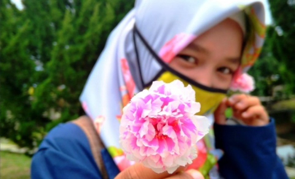 Gambar