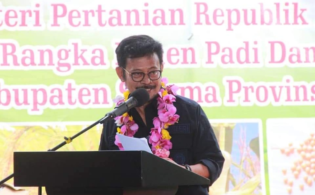 Gambar