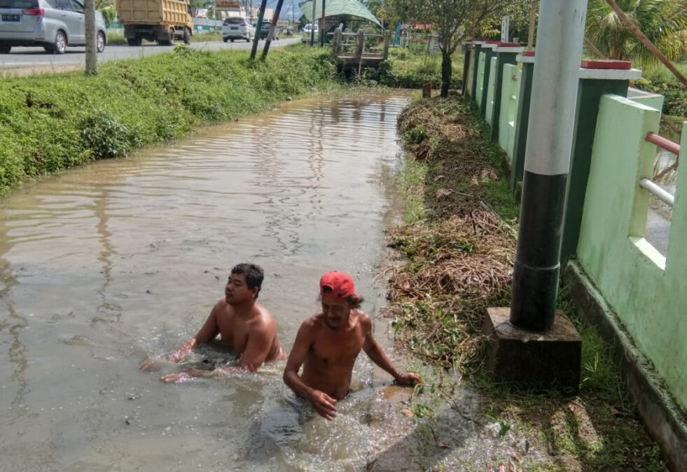 Gambar