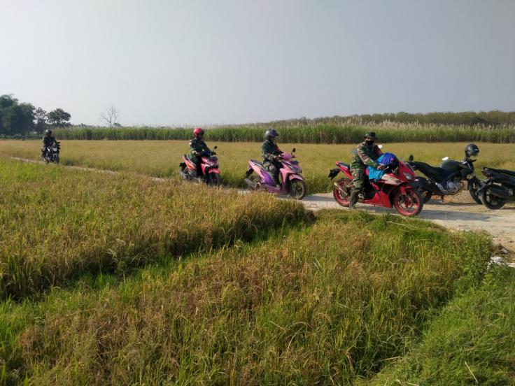 Gambar